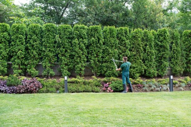 Lawn Drainage Solutions in Brockway, PA